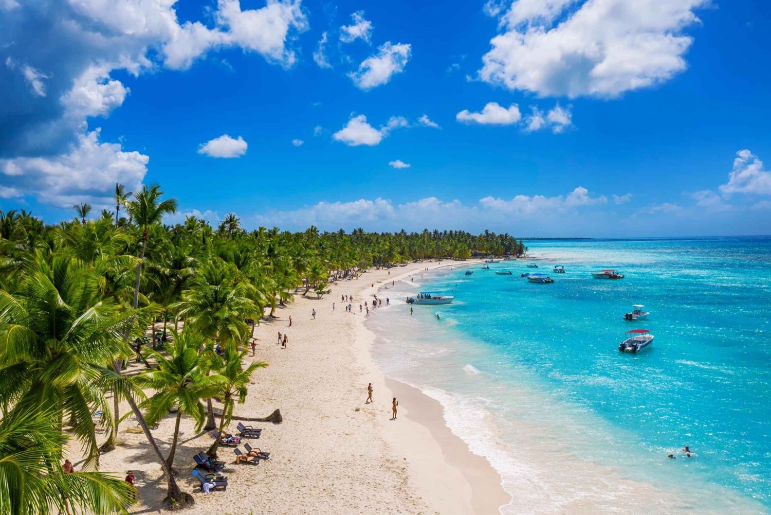 Juan Dolio: Excursión de un día a la Isla Saona con paseo en catamarán