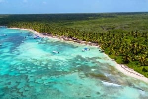 Juan Dolio: escursione di un giorno sull'isola di Saona con giro in catamarano