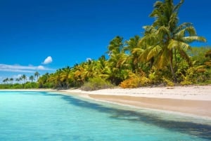 Juan Dolio: Viagem de 1 dia à ilha de Saona com passeio de catamarã