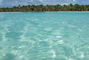 Juan Dolio: dagtrip naar het eiland Saona met lunch en open bar