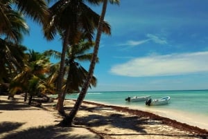 Juan Dolio: Saona Island Full-Day Tour with Catamaran Ride