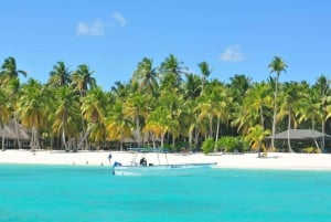 Juan Dolio: Saona Island Full-Day Tour with Catamaran Ride