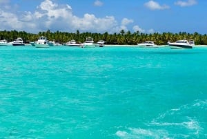 Juan Dolio: Saona Island Full-Day Tour with Catamaran Ride