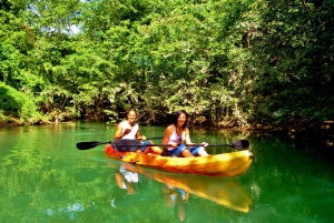 Passeio ecológico na selva