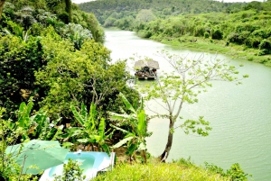 Excursion dans la jungle