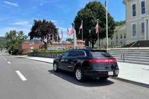 La Romana Airport (LRM): Private Transfer to Bavaro
