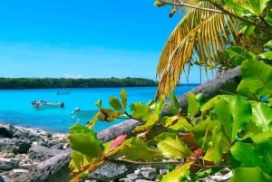 La Romana: viagem de 1 dia à Ilha Catalina com almoço e bebidas