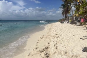 La Romana: Catalina Island for Mein Schiff-krydstogtpassagerer