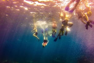 La Romana: tour de esnórquel de 1 día por Isla Catalina