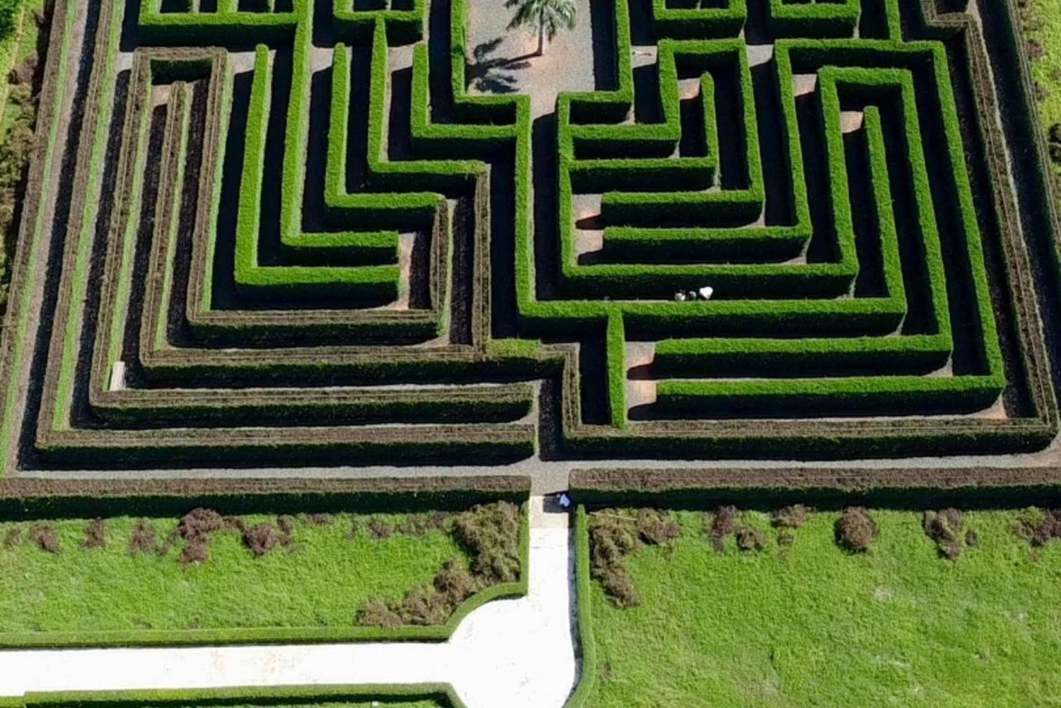 La Romana Half-Day Small Group Tour: Cave, Maze & Culture