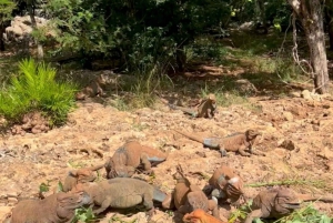 La Romana Half-Day Small Group Tour: Cave, Maze & Culture