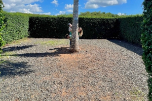 La Romana Half-Day Small Group Tour: Cave, Maze & Culture