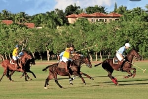 La Romana: Horseback & Ranch Tour with Picnic