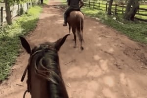 La Romana: Horseback & Ranch Tour with Picnic