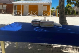 La Romana: rondvaart naar het eiland Saona met lunch