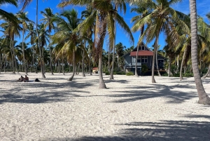 La Romana: rondvaart naar het eiland Saona met lunch