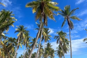 La Romana: Saona Island for Mein Schiff Cruises Passengers