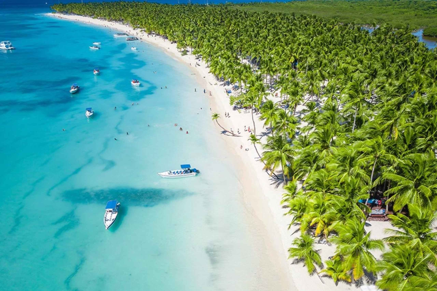 La Romana: Saona-eiland voor cruisepassagiers van Norwegian Sky