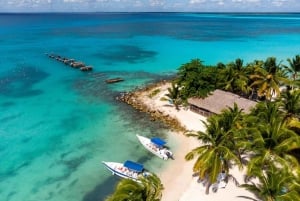 La Romana: Saona-eiland voor cruisepassagiers van Norwegian Sky