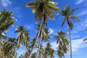 La Romana: Saona-eiland voor cruisepassagiers van Norwegian Sky