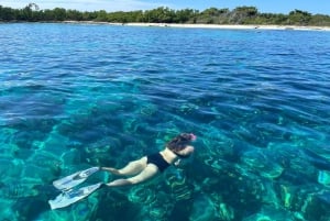 La Romana: Speedbåttur til Saona-øya med lunsj