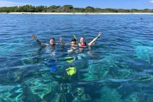 La Romana: Speedbåttur til Saona-øya med lunsj