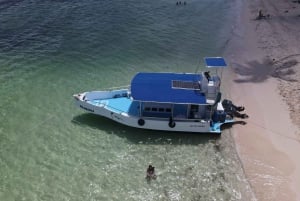 La Romana: Speedbåttur til Saona-øya med lunsj