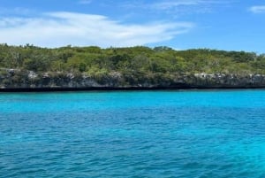 La Romana: Saona-saaren kiertue lounaalla Mein Schiffille