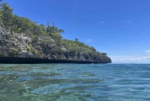 La Romana: Saona-saaren kiertue lounaalla Mein Schiffille
