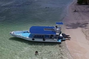 La Romana: Saona-saaren kiertue lounaalla Mein Schiffille