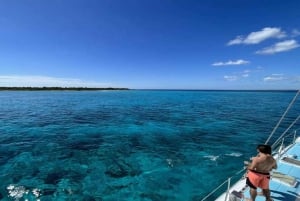 La Romana: Saona-saaren kiertue lounaalla Mein Schiffille