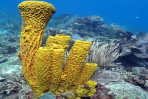 Ла-Романа: экскурсия на остров Саона с обедом для Mein Schiff