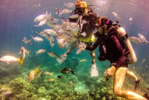 La Romana: Buceo en la Isla Catalina