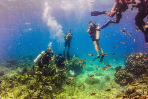 La Romana: Buceo en la Isla Catalina