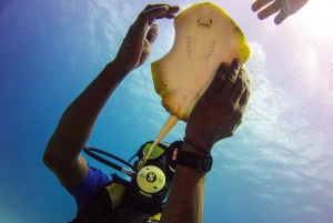 La Romana: Buceo en la Isla Catalina