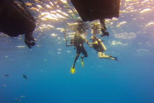 La Romana: Buceo en la Isla Catalina