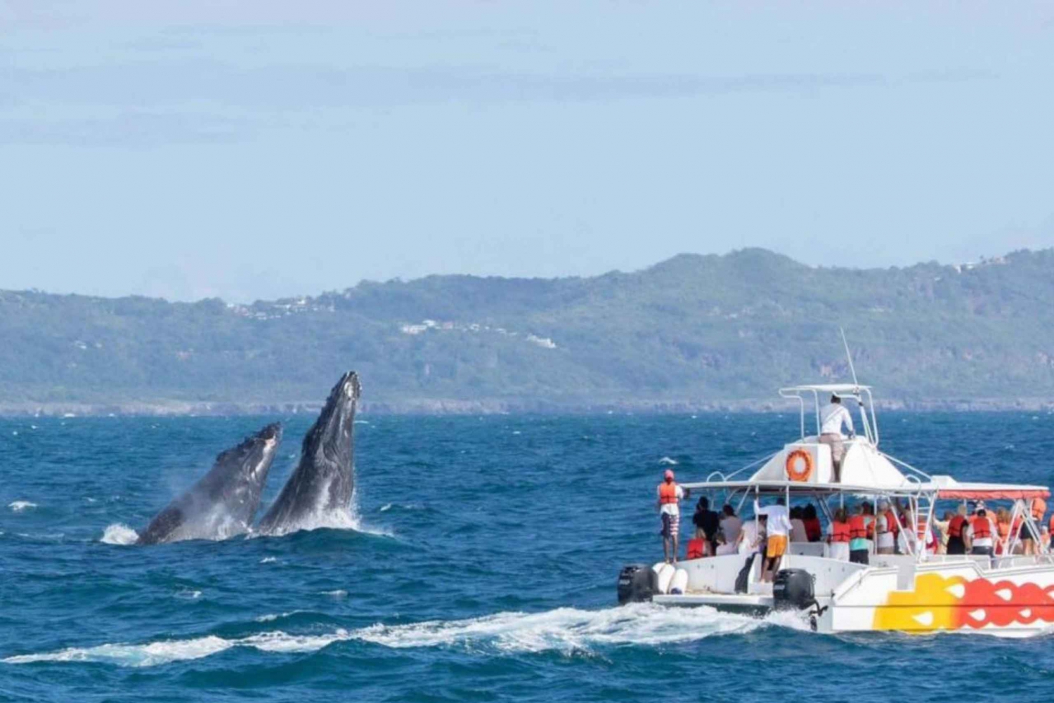 La Romana: Whale-Watching Cruise & Cayo Levantado Day Trip