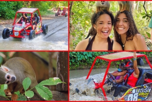 Land der Affen plus ATV-Buggy-Abenteuer in Puerto Plata