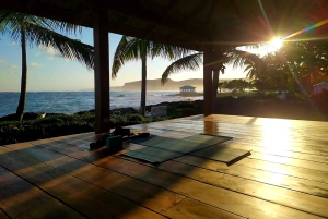 Las Galeras: Morgonyoga eller aerial yoga på Villa Serena