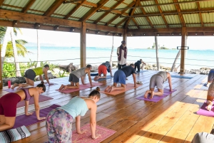 Las Galeras: Morgonyoga eller aerial yoga på Villa Serena