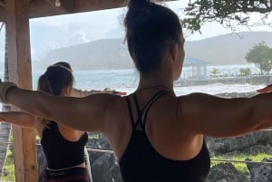Las Galeras: Morgonyoga eller aerial yoga på Villa Serena