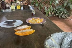 Las Terrenas: excursão de quadriciclo com visita a uma fazenda e parada na praia