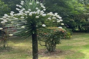 Las Terrenas: ATV Tour with Farm Visit and Beach Stop