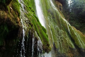 Las Terrenas: El Limón Waterfall Trekking Tour