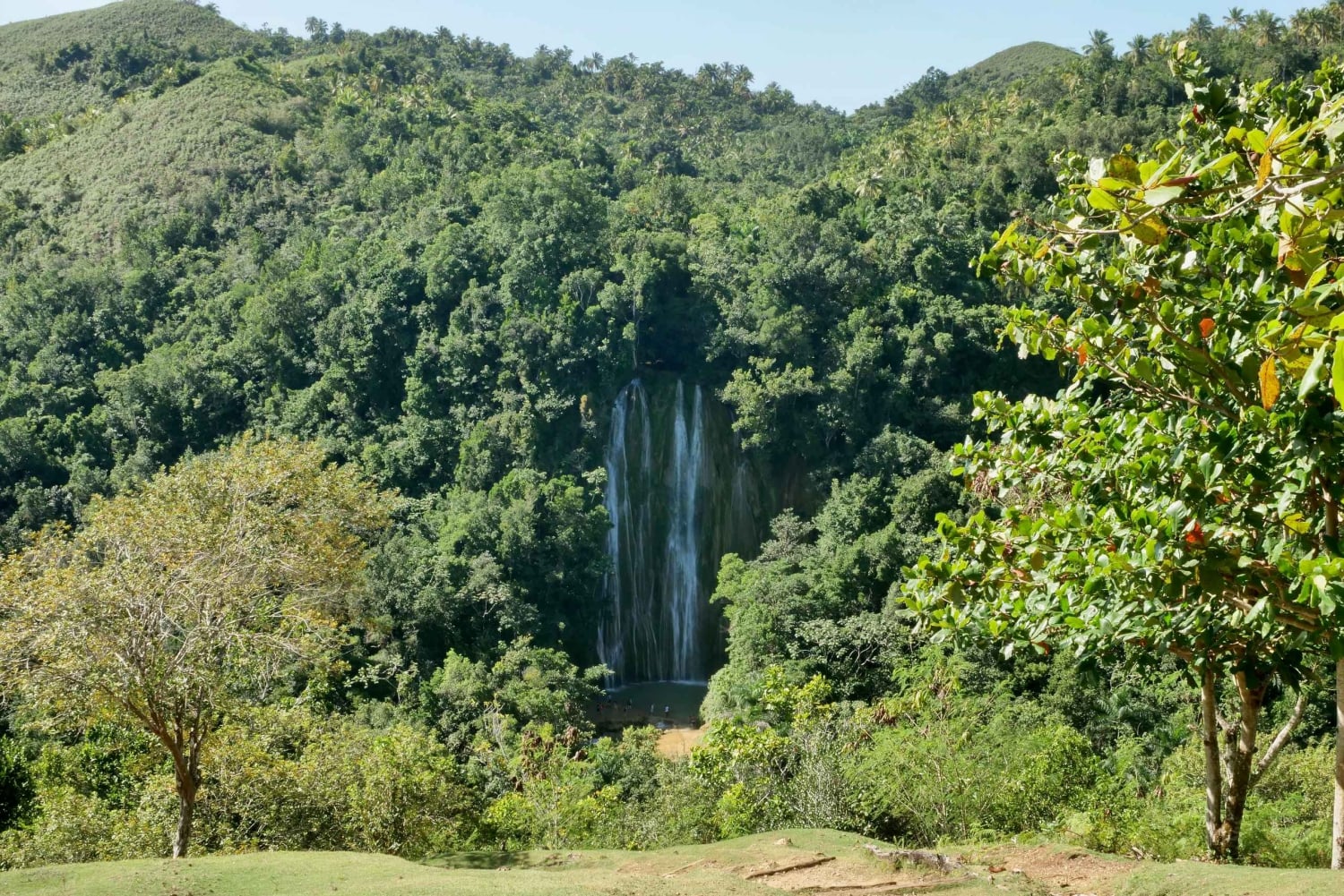 Las Terrenas: El Limón Waterfall Trekking Tour in Samana