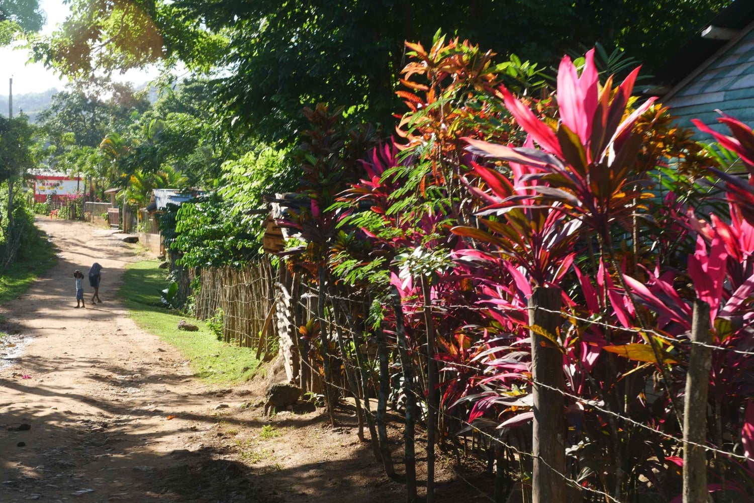 Las Terrenas: El Limón Waterfall Trekking Tour in Samana