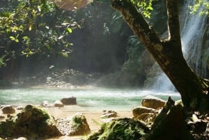 Las Terrenas: El Limón Waterfall Trekking Tour in Samana