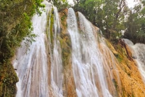 Las Terrenas: El Limón Waterfall Trekking Tour in Samana