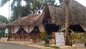 Le Taínos
