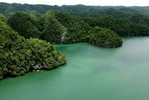 Los Haitises: Boat Excursion and Walking Tour with Lunch